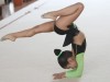 Художественная гимнастика.2010г