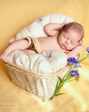 фотосессии новорожденных - www.fotolirika.ru