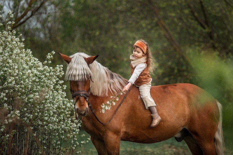 Фотосессия с конями фото